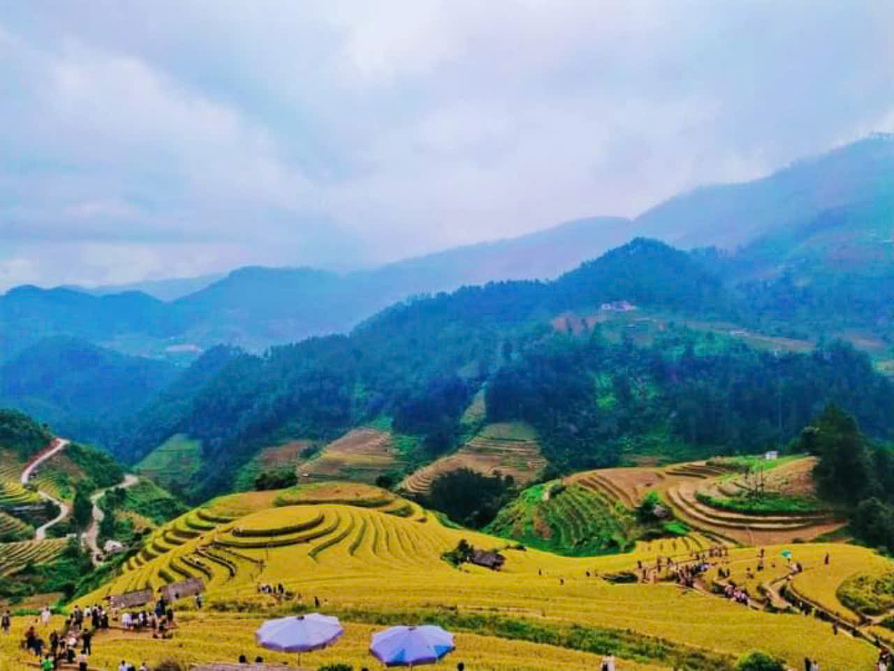 Tour Photography Mùa Vàng