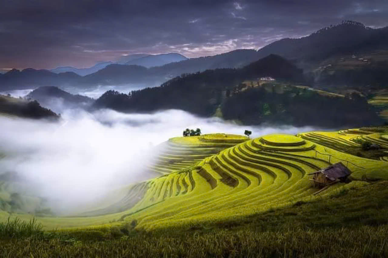 Săn mây